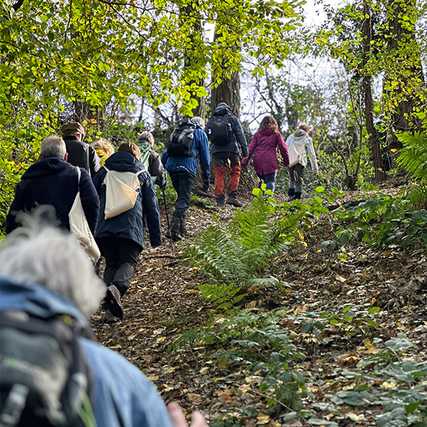 Wandeling tentoonstelling 'Dwaalkruis'